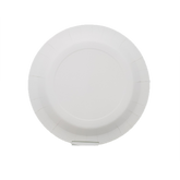 Minty Fresh Dinnerware Plates